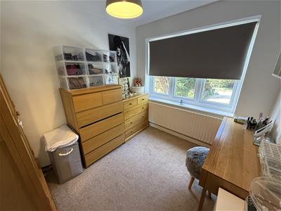 Picture 27